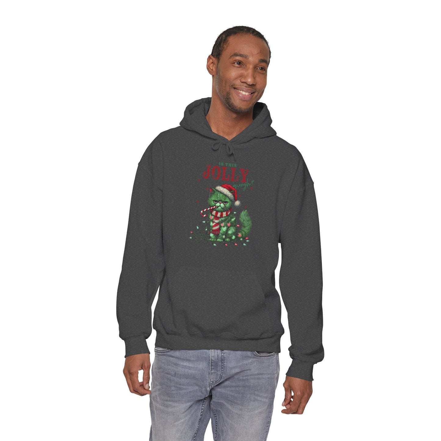 Holiday Dino Hoodie - "Be Jolly" Cute Christmas T-Rex Sweatshirt