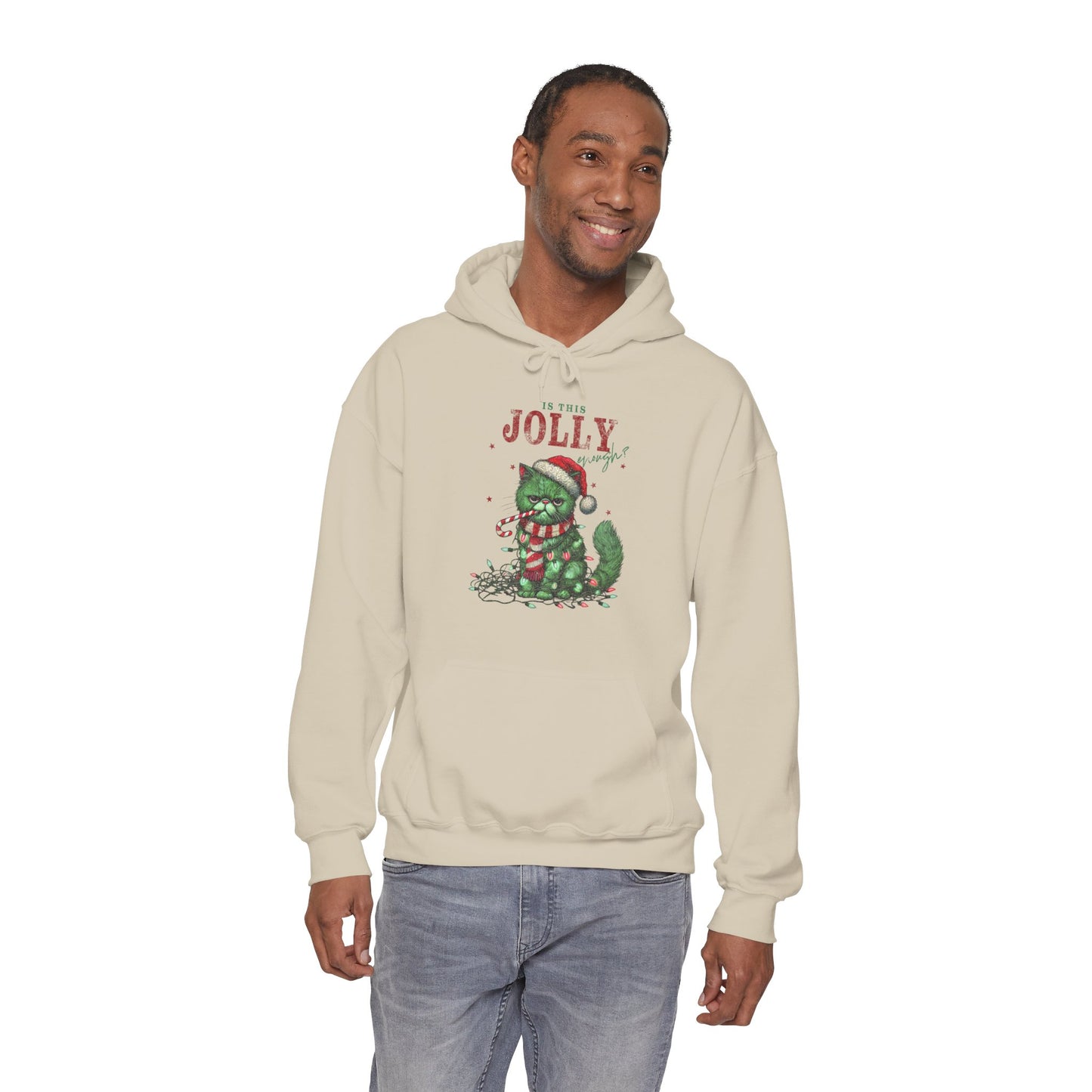 Holiday Dino Hoodie - "Be Jolly" Cute Christmas T-Rex Sweatshirt