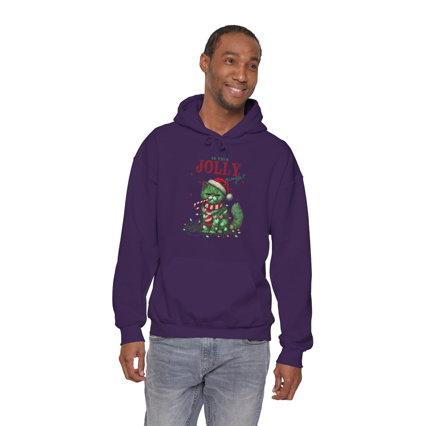 Holiday Dino Hoodie - "Be Jolly" Cute Christmas T-Rex Sweatshirt