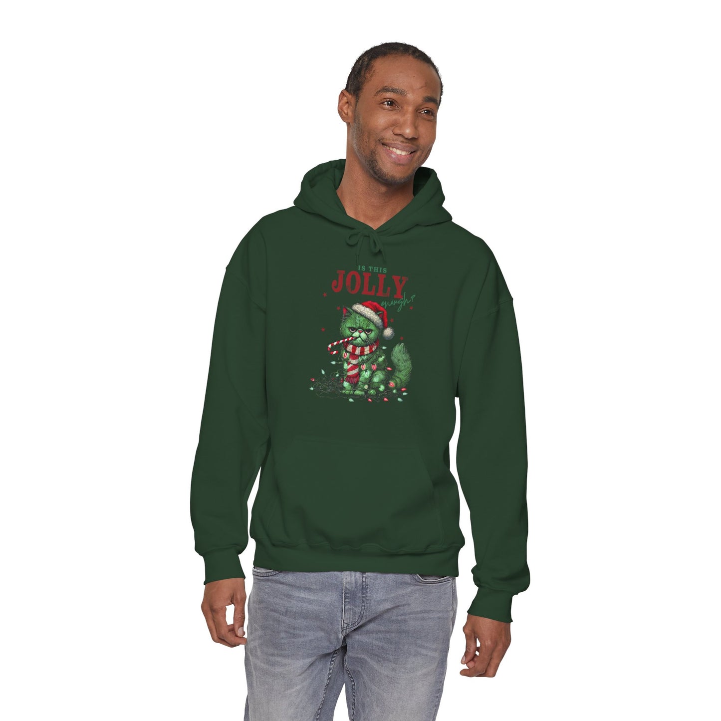 Holiday Dino Hoodie - "Be Jolly" Cute Christmas T-Rex Sweatshirt